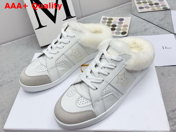 Dior Star Sneaker White Calfskin and Shearling Gold Star Replica