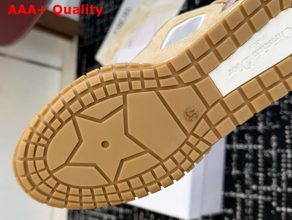 Dior Tech Sneaker Nude Suede Calfskin and Transparent Mesh Replica