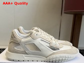 Dior Tech Sneaker White Calfskin with Light Beige Suede Calfskin and Transparent Mesh Replica