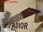 Dior Toile De Jouy Mitzah Scarf in Burgundy Silk Twill Replica