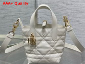 Dior Toujours Vertical Nano Tote Bag in Latte Macrocannage Calfskin Replica