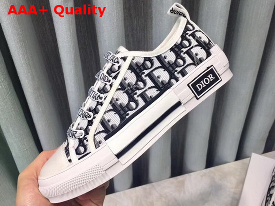 Dior Walk N Dior Low Top Trainer in Dior Canvas Replica
