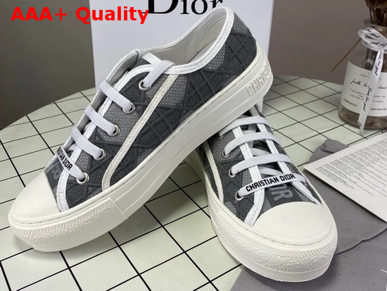 Dior Walk n Dior Sneaker Gray Cannage Embroidered Metalllic Cotton Replica