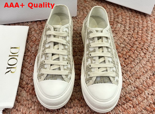 Dior Walk n Dior Sneaker in Gray Dior Oblique Embroidered Mesh Replica