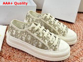 Dior Walk n Dior Sneaker in Gray Dior Oblique Embroidered Mesh Replica