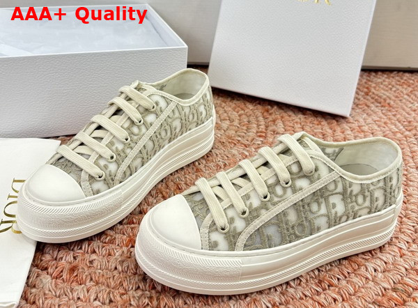 Dior Walk n Dior Sneaker in Gray Dior Oblique Embroidered Mesh Replica