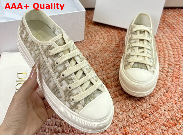 Dior Walk n Dior Sneaker in Gray Dior Oblique Embroidered Mesh Replica