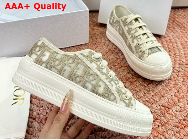 Dior Walk n Dior Sneaker in Gray Dior Oblique Embroidered Mesh Replica