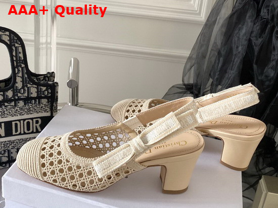 Dior and Moi Slingback Pump Beige Cannage Mesh Embroidery Replica