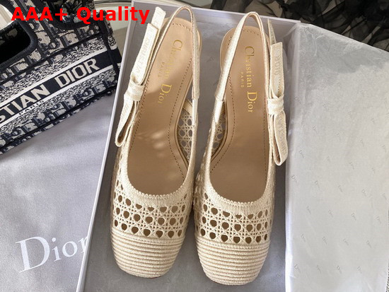 Dior and Moi Slingback Pump Beige Cannage Mesh Embroidery Replica