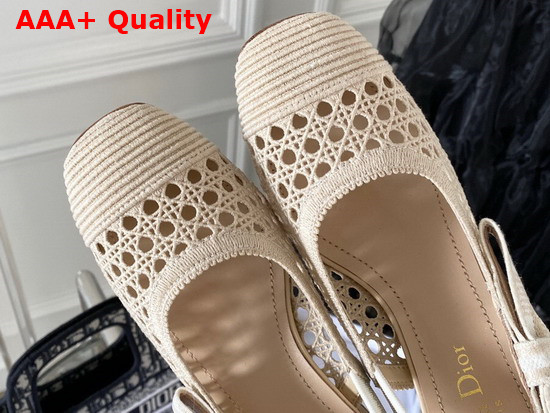 Dior and Moi Slingback Pump Beige Cannage Mesh Embroidery Replica