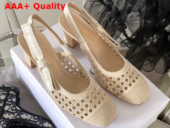 Dior and Moi Slingback Pump Beige Cannage Mesh Embroidery Replica