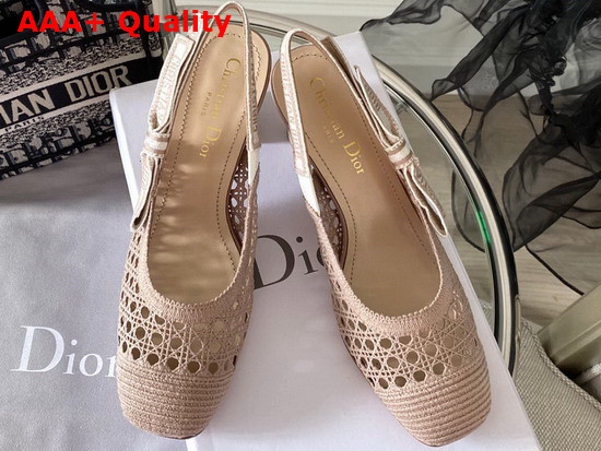 Dior and Moi Slingback Pump Nude Cannage Mesh Embroidery Replica