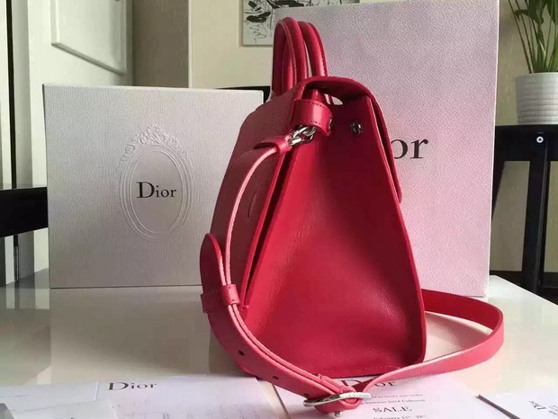 Diorever Bag Red Bullcalf Leather for Sale