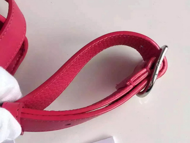Diorever Bag Red Bullcalf Leather for Sale