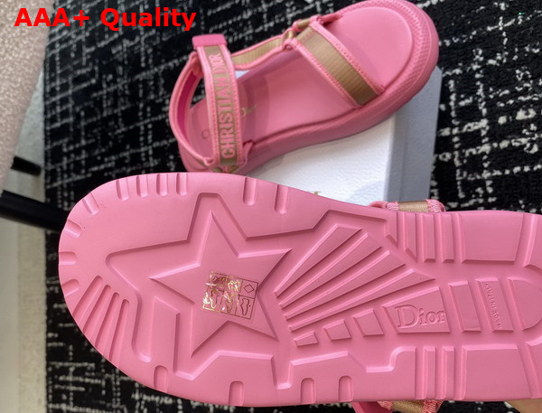 Dioriviera D Wave Sandal Natural Raffia and Candy Pink Embroidered Cotton Replica