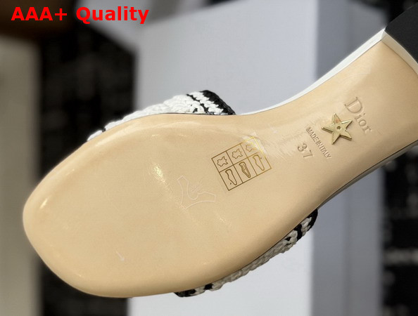 Dioriviera Dior Woven Heeled Slide White Crocheted Raffia Effect Technical Fabric Replica