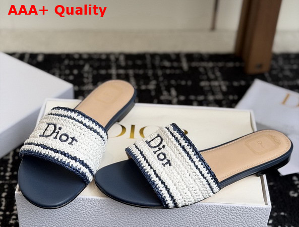 Dioriviera Dior Woven Slide in Blue Crocheted Raffia Effect Technical Fabric Replica