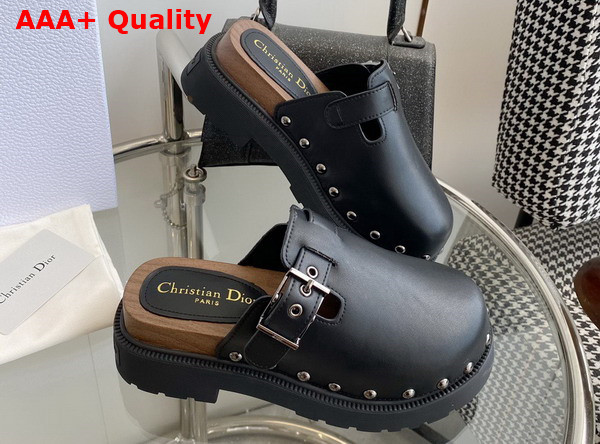 Diorquake Clog Black Calfskin Replica