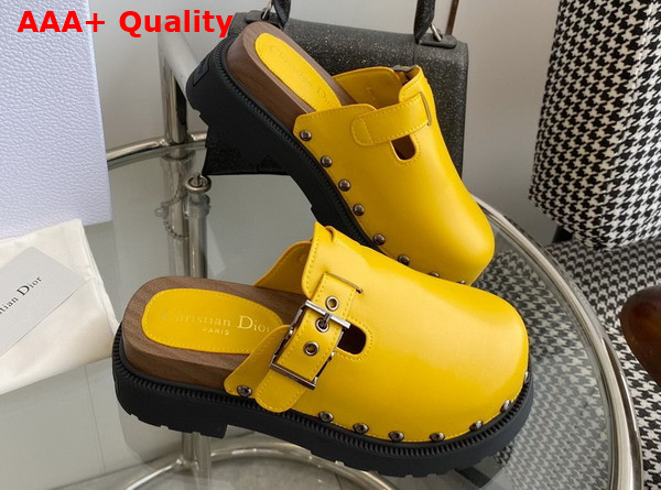 Diorquake Clog Yellow Calfskin Replica