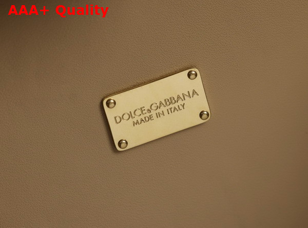 Dolce Gabbana DG Logo Bag Box Handbag in Beige Calfskin Replica