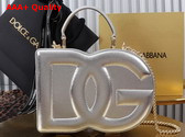 Dolce Gabbana DG Logo Bag Box Handbag in Silver Calfskin Replica