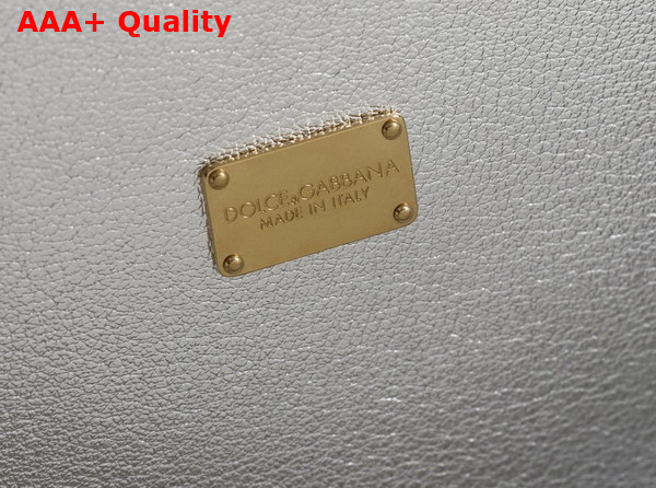 Dolce Gabbana DG Logo Bag Box Handbag in Silver Calfskin Replica