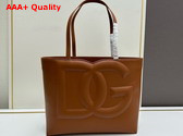 Dolce Gabbana Medium Calfskin DG Logo Bag Shopper in Brown Replica