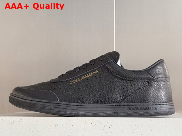 Dolce Gabbana Perforated Calfskin Saint Tropez Sneakers in Black Replica