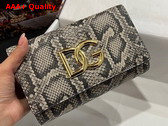 Dolce Gabbana Python Skin 3 5 Clutch Multicolor Replica