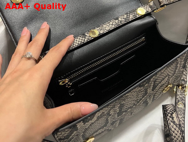 Dolce Gabbana Python Skin 3 5 Clutch Multicolor Replica