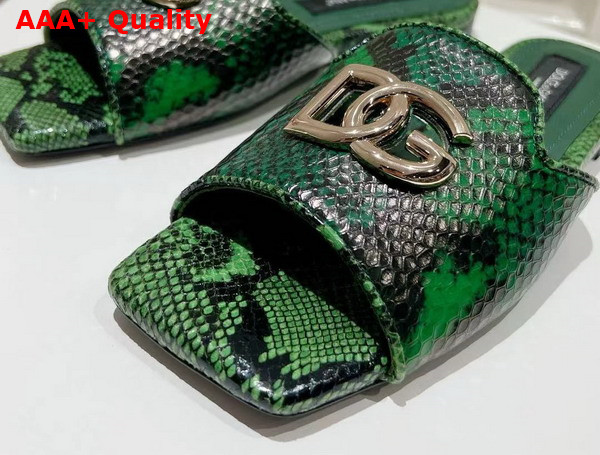 Dolce Gabbana Python Skin Slides with DG Logo in Green Replica
