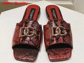 Dolce Gabbana Python Skin Slides with DG Logo in Red Replica