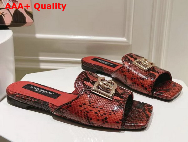 Dolce Gabbana Python Skin Slides with DG Logo in Red Replica