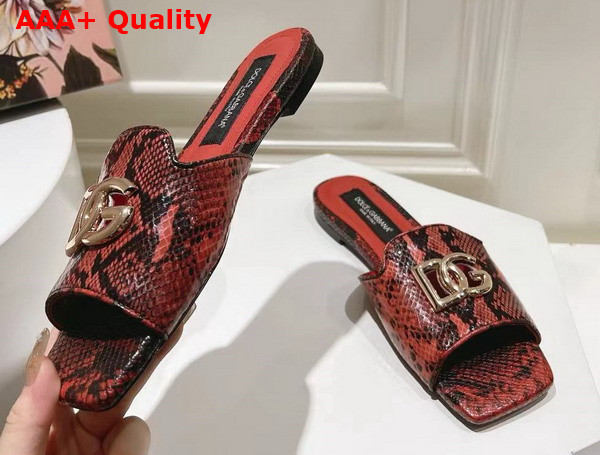 Dolce Gabbana Python Skin Slides with DG Logo in Red Replica