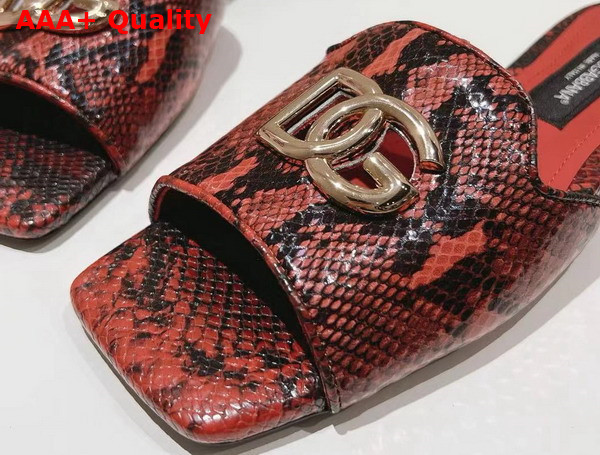Dolce Gabbana Python Skin Slides with DG Logo in Red Replica