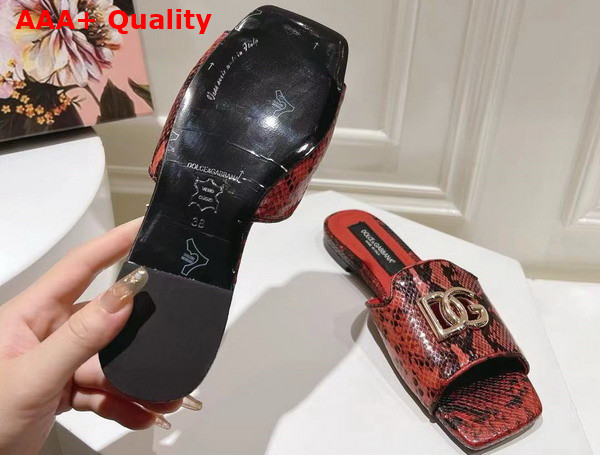 Dolce Gabbana Python Skin Slides with DG Logo in Red Replica