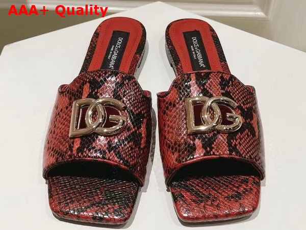 Dolce Gabbana Python Skin Slides with DG Logo in Red Replica