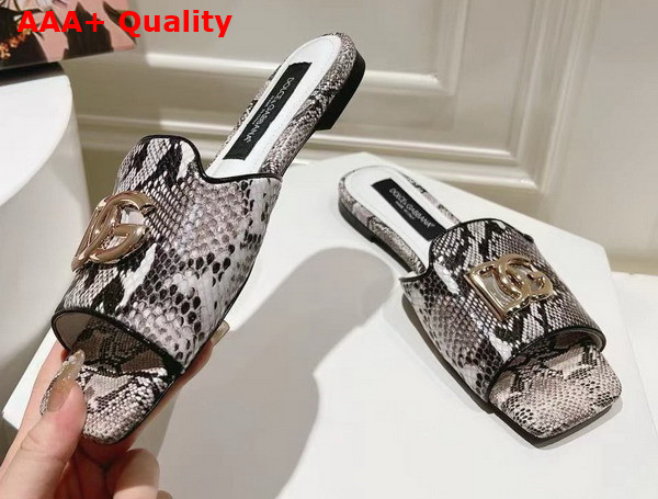 Dolce Gabbana Python Skin Slides with DG Logo in White Replica