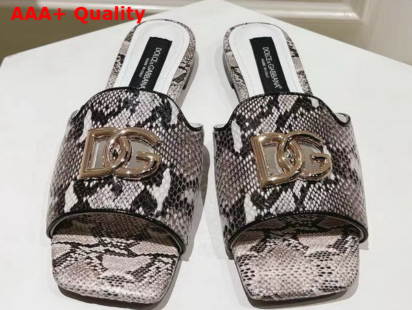 Dolce Gabbana Python Skin Slides with DG Logo in White Replica