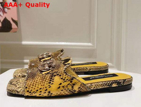 Dolce Gabbana Python Skin Slides with DG Logo in Yellow Replica