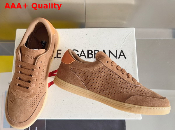 Dolce Gabbana Suede Saint Tropez Sneakers in Brown Replica