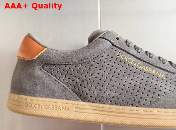 Dolce Gabbana Suede Saint Tropez Sneakers in Gray Replica