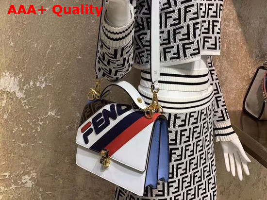 Fendi Kan I Multicolor Leather Bag Replica
