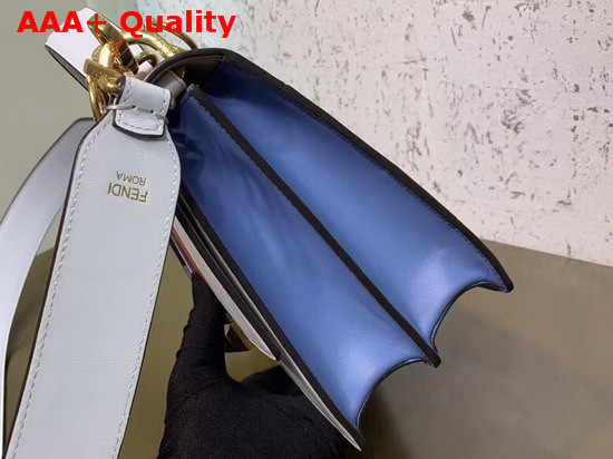 Fendi Kan I Multicolor Leather Bag Replica