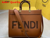 Fendi Medium Sunshine Shopper Bag Made Rrom Brown Leather with Heat Stamped FENDI ROMA and Stiff Tortoiseshell Plexiglass Handles Replica