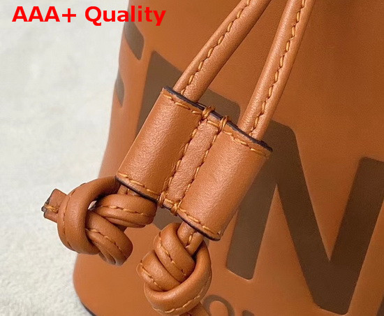 Fendi Mon Tresor Brown Leather Mini Bag Replica