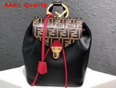 Fendi Multicolor Leather Backpack New Fendi Logo Handle Iconic FF Pattern On The Flap Replica