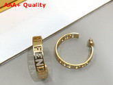 Fendi Small Signature Earrings Gold Colored Earrings Replica