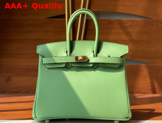 Hermes Birkin 25 Apple Green Swift Calfskin Hand Stitching Replica